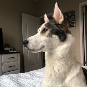 Meet your Posher, Kathryn